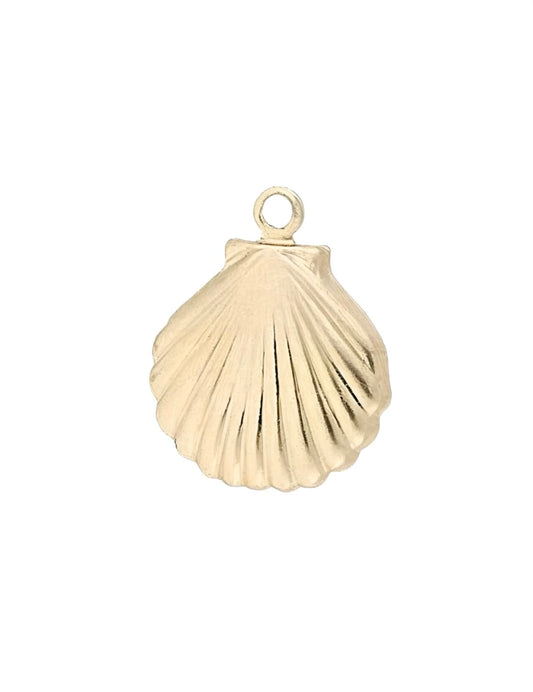Shell charm