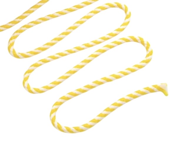 Remy Cord Necklace